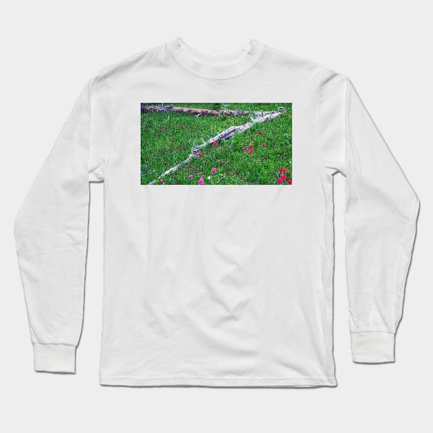 Mountain Meadow  Wildflowers Long Sleeve T-Shirt by briankphoto